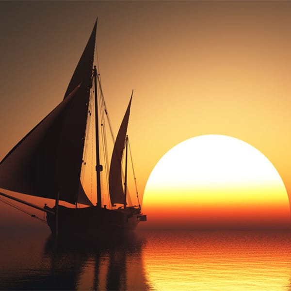 Amina Sheikh avatar